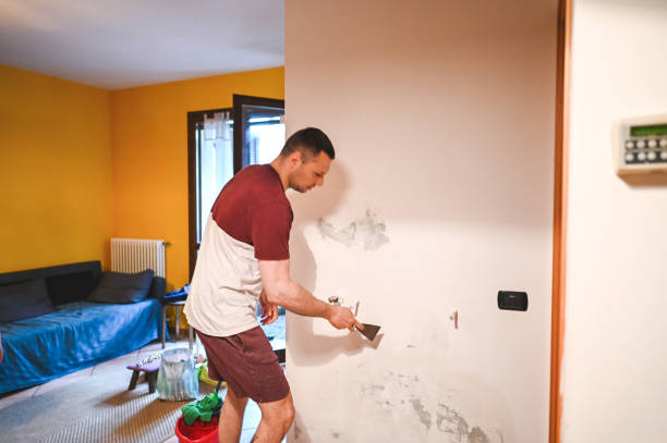 Best Mold Remediation Experts  in Theodore, AL